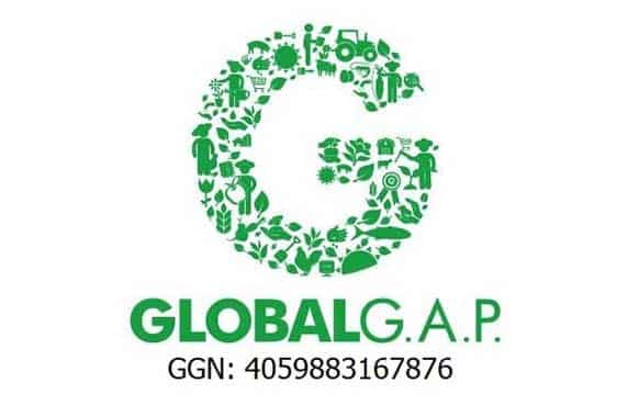 glogal-gap-logo-1